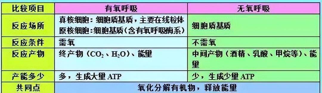 资料大全正版资料2023,资料大全正版资料2023，探索知识的宝库