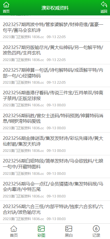 2024澳门正版资料大全,澳门正版资料大全，探索与解读（XXXX年展望）