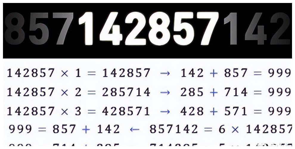 7777788888一肖一码,探索神秘数字组合，77777与88888一肖一码的魅力与启示