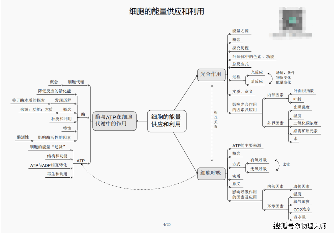 白小姐三肖三期必出一期开奖,关于白小姐三肖三期必出一期开奖的违法犯罪问题探讨