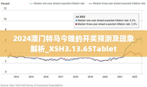 新2024澳门兔费资料,新2024澳门兔费资料，探索与解析