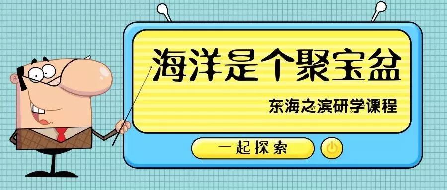 2024正版免费资料,探索2024正版免费资料的海洋，无限可能，尽在指尖