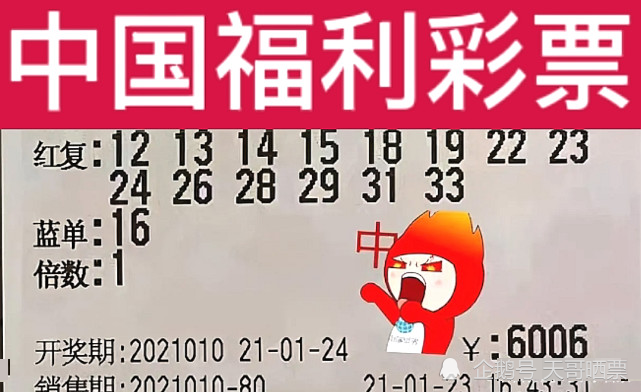 新澳2024今晚开奖结果,新澳2024今晚开奖结果，期待与惊喜交织的盛宴