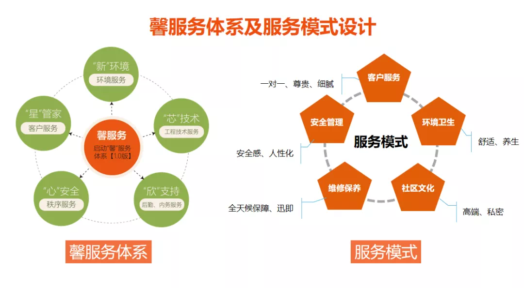 2025新澳开奖结果,揭秘2025新澳开奖结果，一场数字盛宴的盛宴