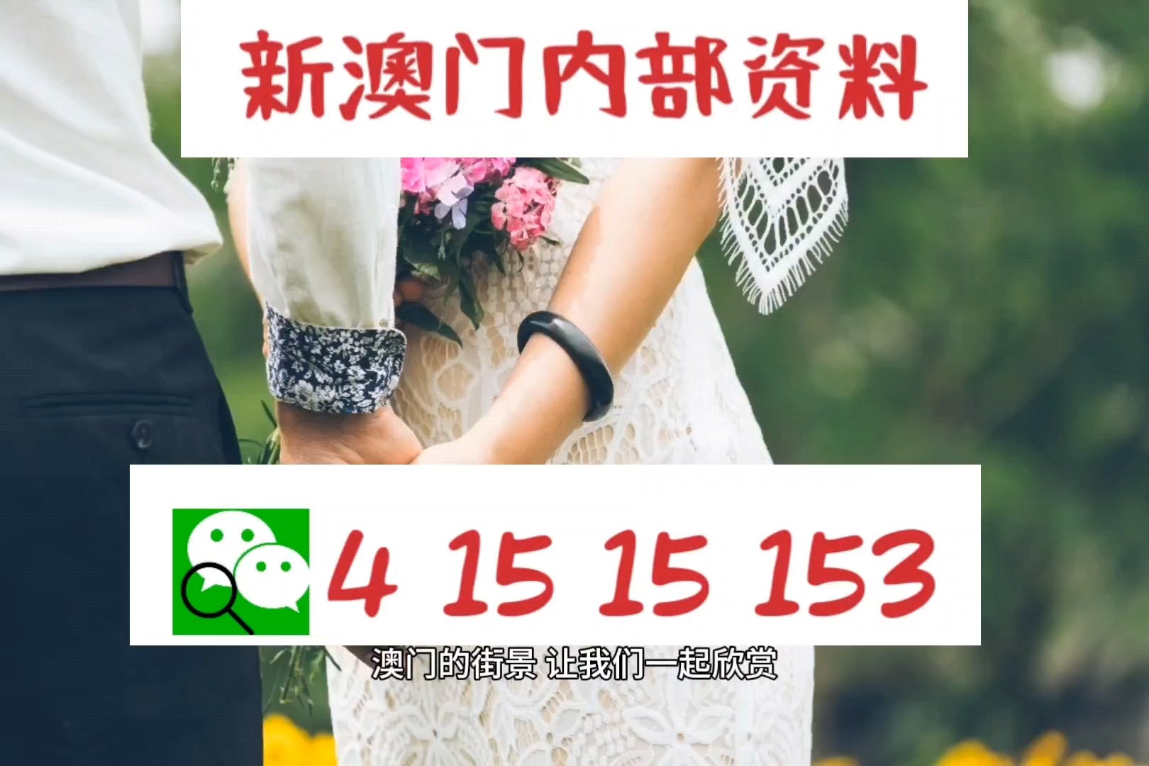 澳门最精准的资料免费公开104期 23-25-32-33-35-45Y：07,澳门最精准的资料免费公开，探索期中的秘密与机遇（第104期分析）