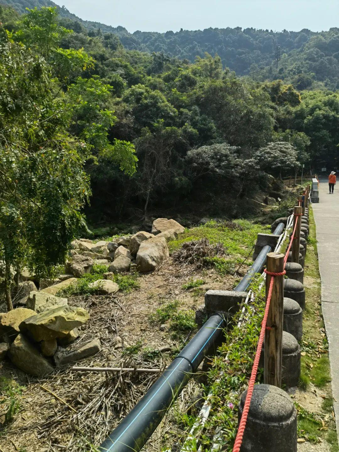 澳门雷锋心水论坛013期 02-03-05-08-09-39P：06,澳门雷锋心水论坛第013期，探索心水奥秘，传承雷锋精神——以数字06为引领