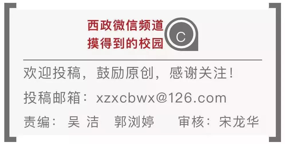 新奥门特免费资料大全今天的图片103期 07-22-29-33-34-38V：41,新奥门特免费资料大全，探索与赏析今日图片第103期（07-22-29-33-34-38V，41）